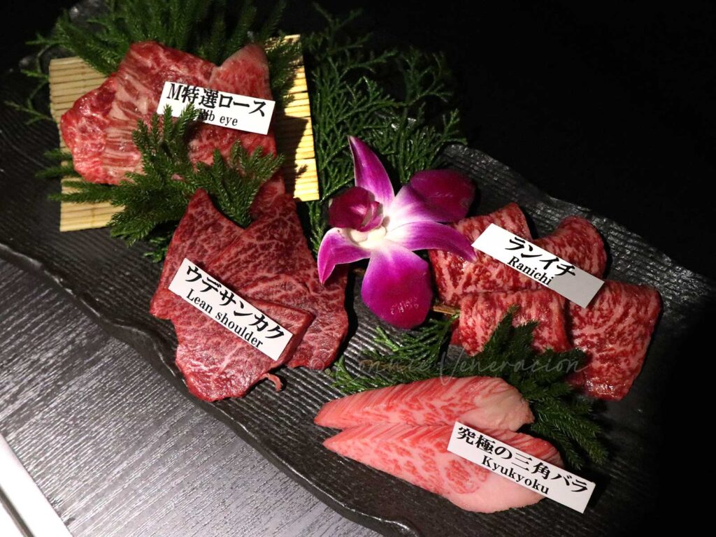 Various cuts of Japanese Matsusaka beef: Dinner at Matsusakagyu Yakiniku M in Osaka